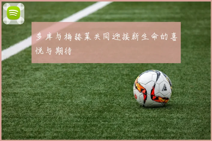 多库与梅赫莱共同迎接新生命的喜悦与期待