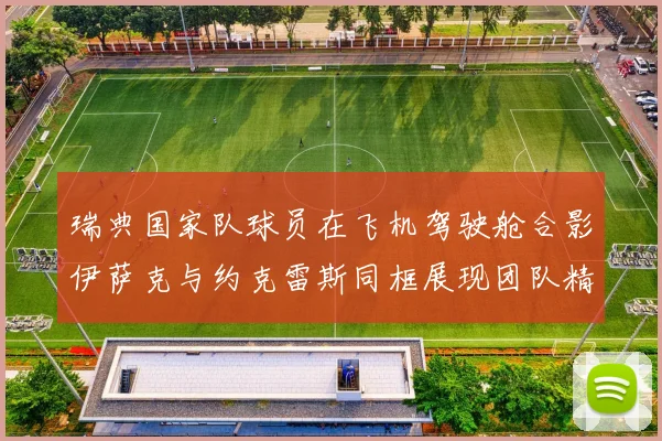 瑞典国家队球员在飞机驾驶舱合影伊萨克与约克雷斯同框展现团队精神